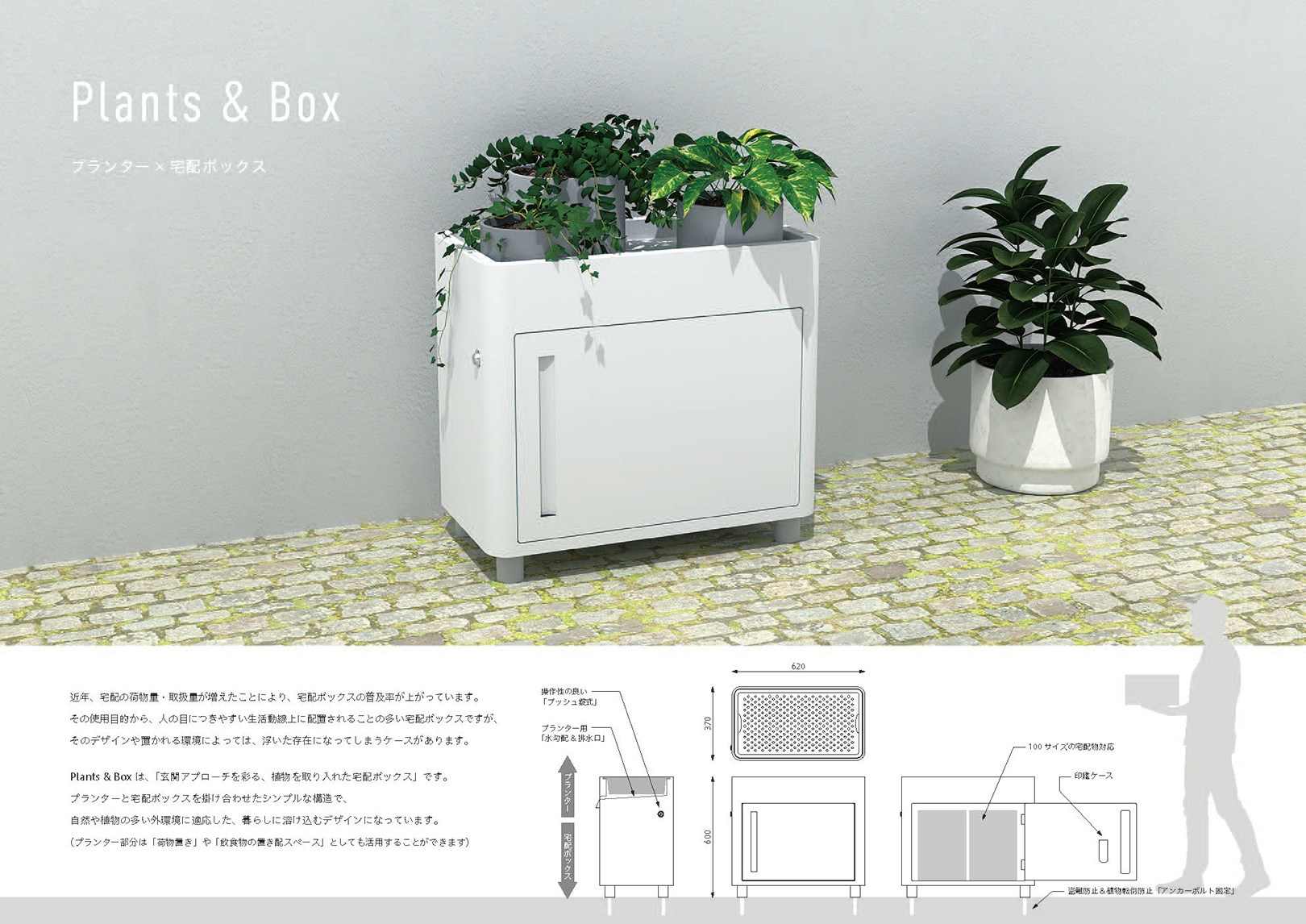 Plants & Box