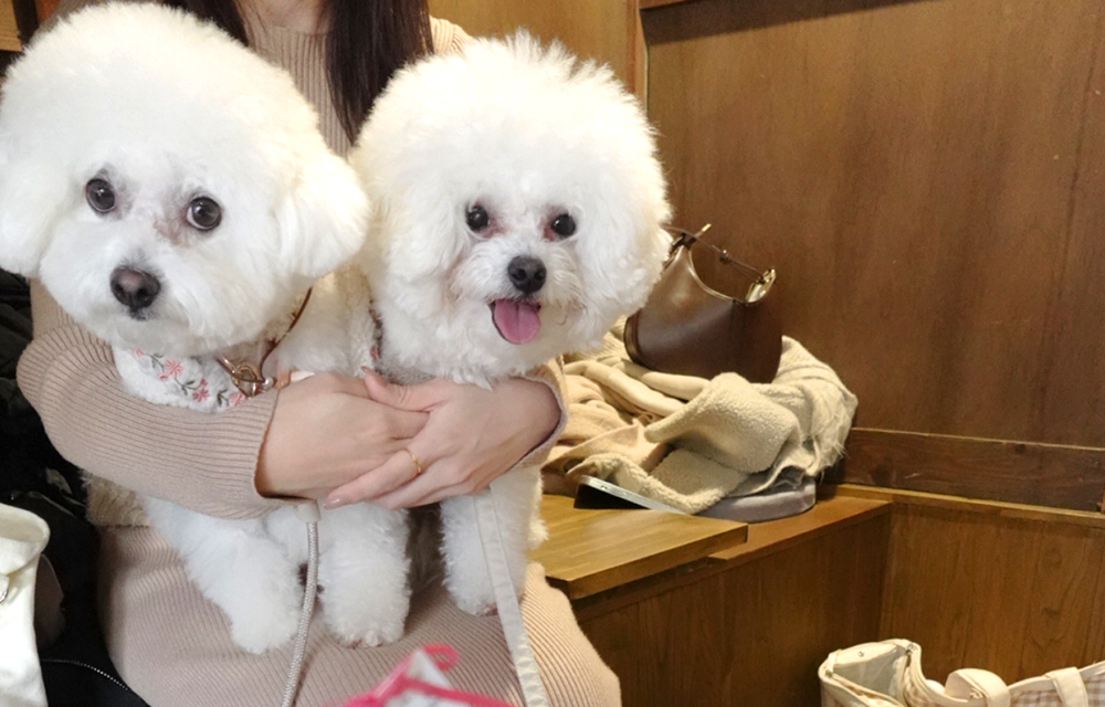 休日の過ごし方